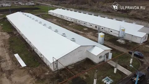 Ульяновская птицефабрика