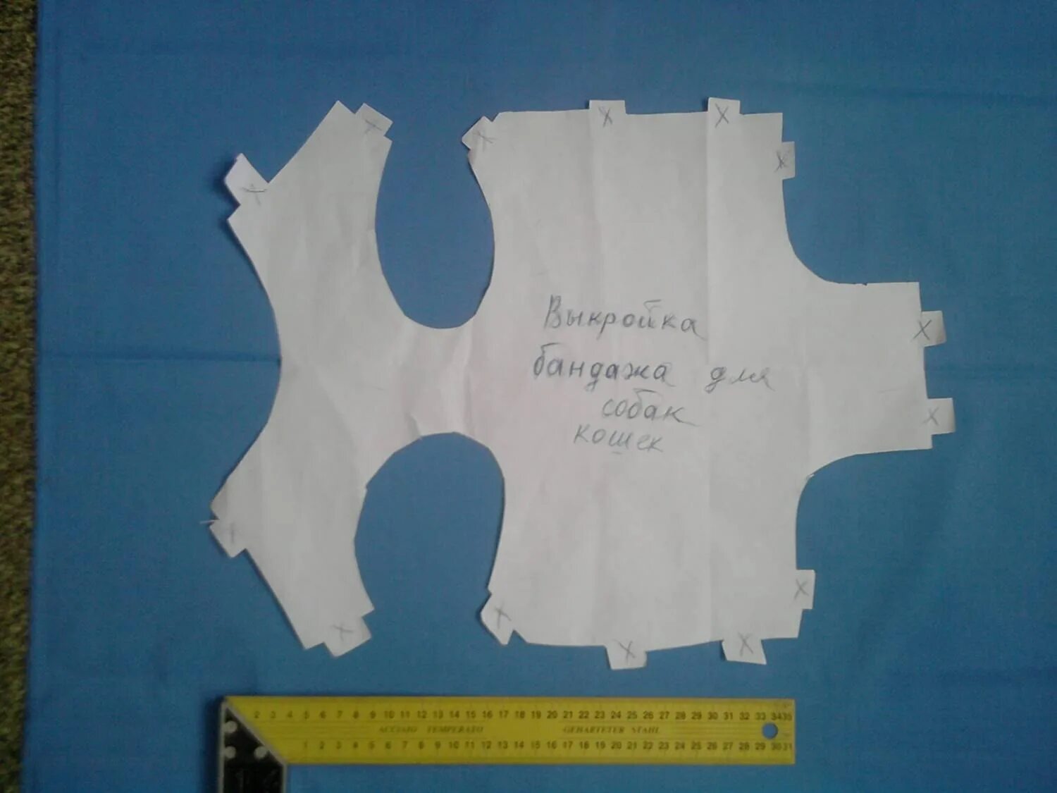 Бандаж для кошки после стерилизации выкройка. Послеоперационная попона бандаж для кошки выкройка. Послеоперационная попона бандаж для кошки выкройка. Послеоперационный бандаж для кошки выкройка. Послеоперационный бандаж для кошки выкройка.