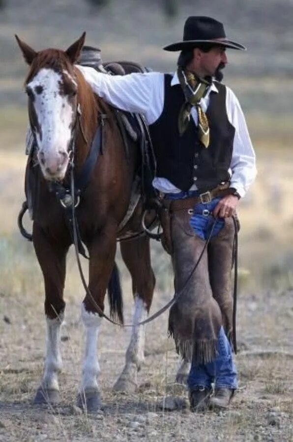 Ковбой на лошади. Cowboy horse. Вестерн конный спорт. Ковбой на лошади. Два ковбоя на лошадях.