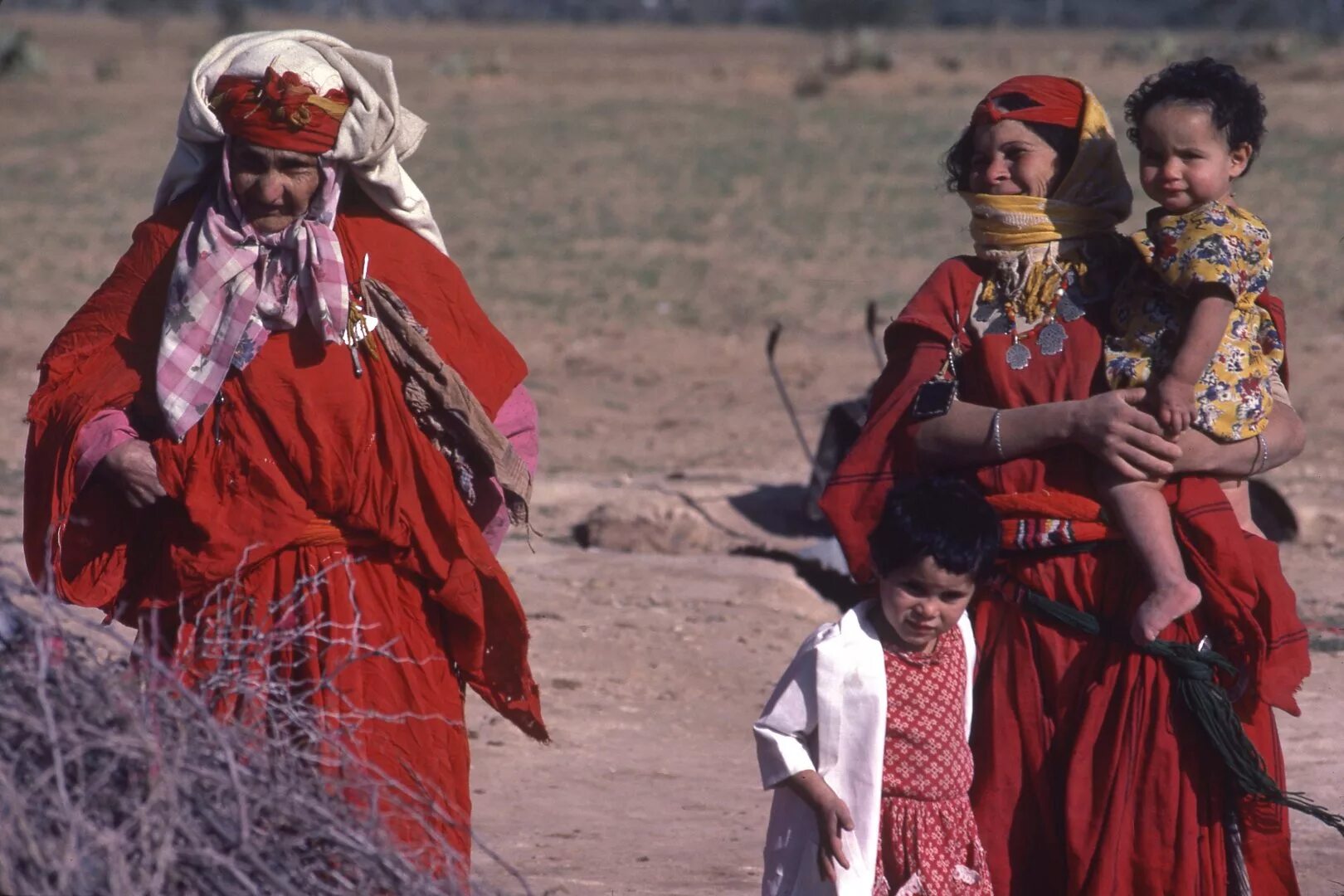 Народы алжира их быт и основные занятия. Народы алжира их быт и основные занятия. Занятие алжира. Алжир туареги. Нац.