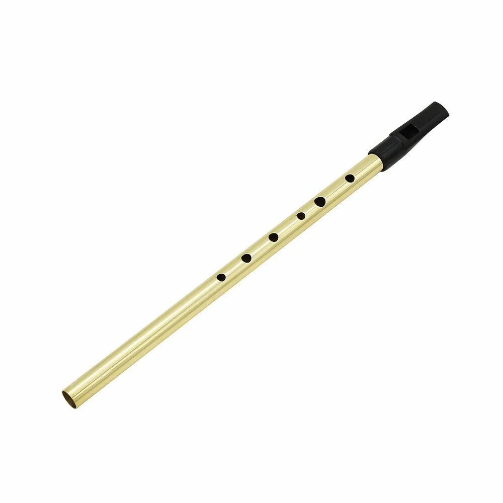 Вистл флейта. Ирландский вистл. Вистл (Свирель). Ирландская флейта tin Whistle.