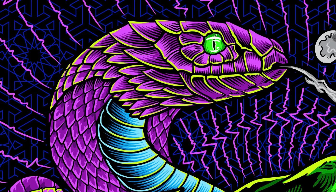 Wonder a see snake