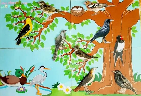 Тематическая неделя птицы весной. Картина перелетные птицы для детей. Дидактический материал птицы. Птицы весной для детского сада. Птицы весной занятие для детей.