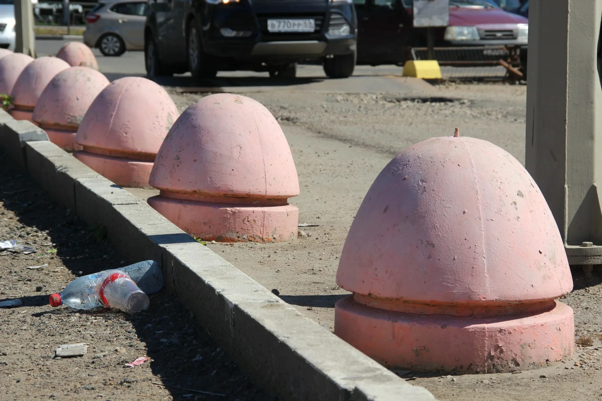 Форма головки полового. Форма головки полового
