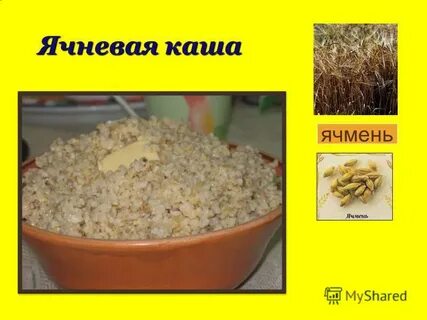 Ячневая из какого