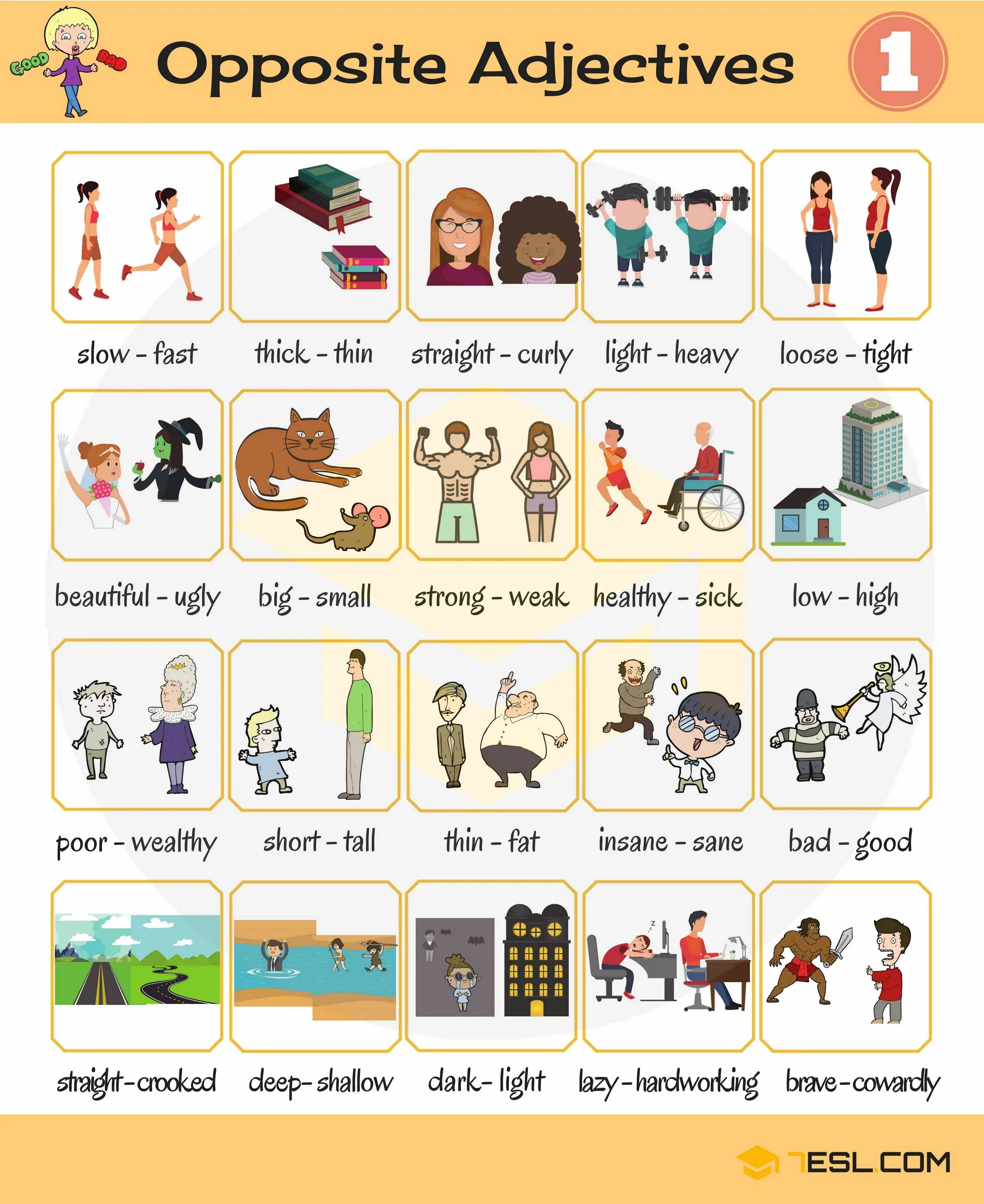 Карточки английские прилагательные. Прилагательные Opposits в английском языке. Прилагательные англ для детей. Прилагательные opposites. Прилагательные в английском языке картинки.