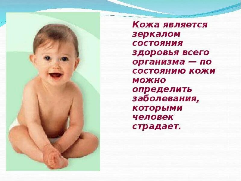 Доклад на тему кожа человека 3 класс. Кожа человека. Презентация на тему кожа. Органы осязания у человека. Интересные факты о коже.