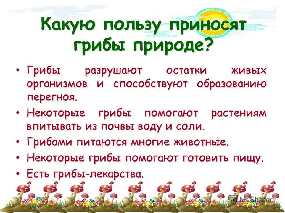 Почему грибы употребляют в пищу. Какую пользу приносят грибы природе. Какую пользу приносит гриф. Польза грибов в природе. Польза и вред грибов в природе.