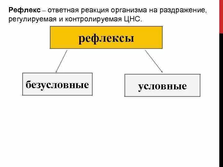 Рефлекс это ответная реакция организма. Ответная реакция организма на раздражение. Ответные реакции на раздражитель. Ответная рефлекторная реакция. Ответная реакция организма на действие раздражителя