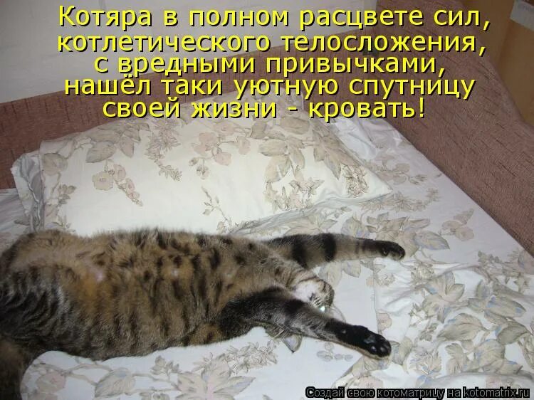 Почему любящие
