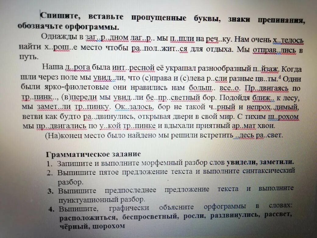 Лесная столовая диктант. Лесная столовая текст 5 класс. Лесные столовые текст. Текст Лесная столовая по русскому языку.