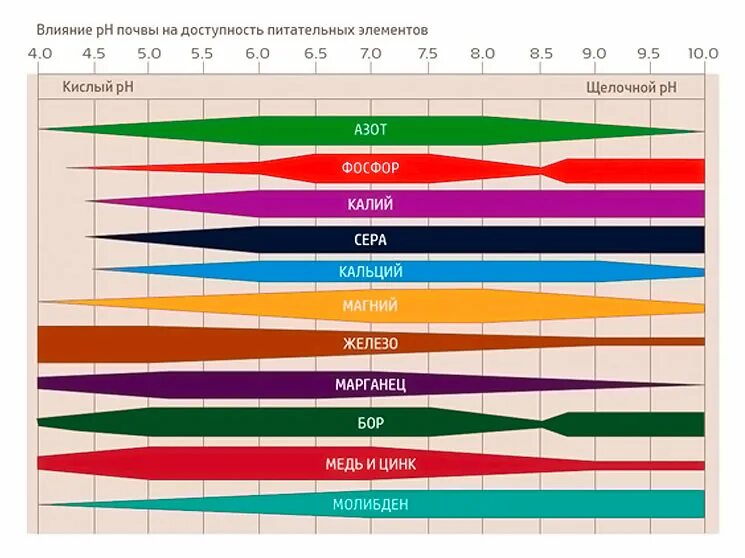 Питательные элементы почвы