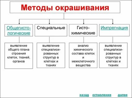 Таблетки методоксил