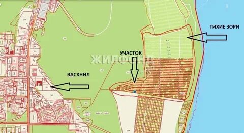 Расписание автобуса тихие зори