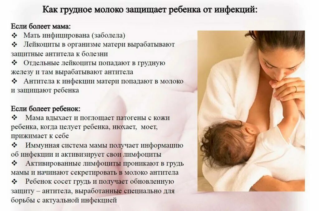Можно ли матери. Ребенку при грудном вскармливании. Антитела грудного молока. Выработка грудного молока. Молоко для мамы при грудном вскармливании.