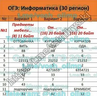 Результаты информатика 2023