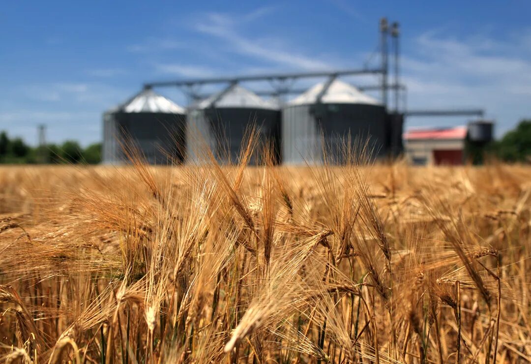 Field processing. Агропромышленный комплекс. Элеватор это что такое в сельском хозяйстве. Промышленность и сельское хозяйство. Инфраструктура сельского хозяйства.