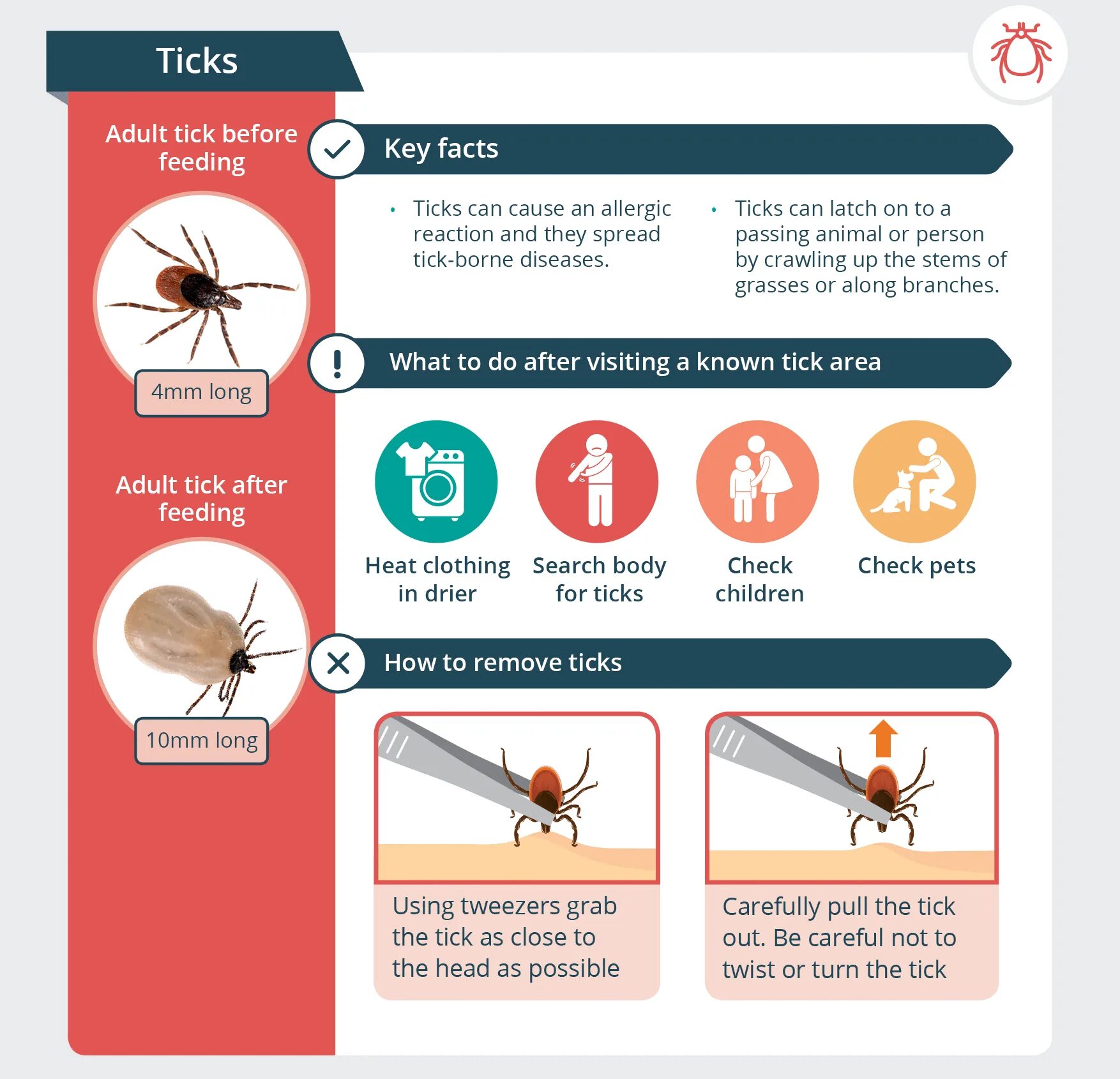 Tick bite make you allergic to. Tick tick уровни. tick перевод на русский. tick tick скриншоты.