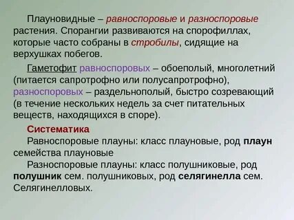 Разноспоровыми папоротниками являются