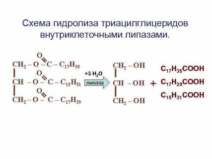 Результат гидролиза