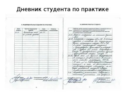 Задание на педагогическую практику студента