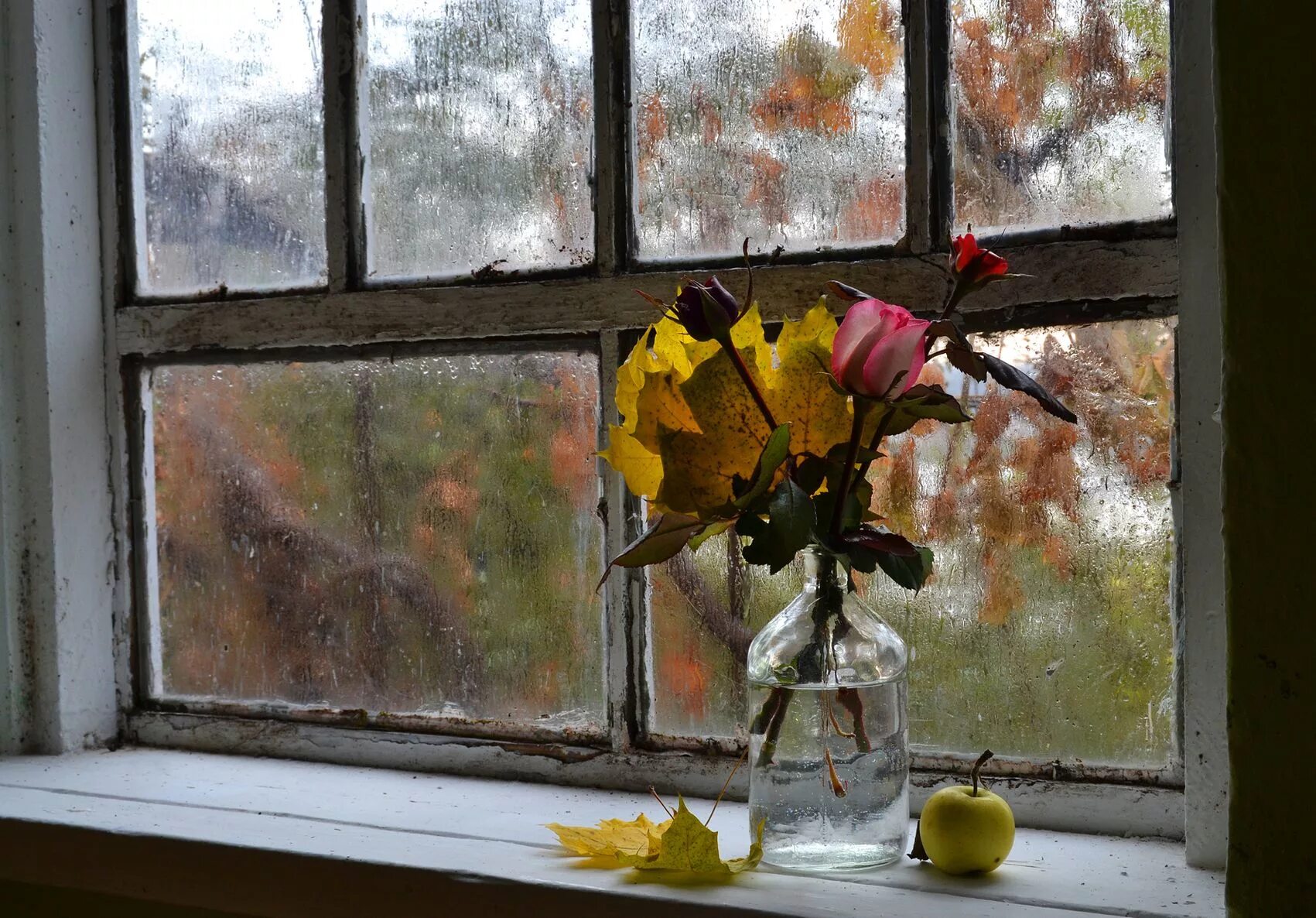 Осенний стучать. Окно осень. Осень из окна. Осень за окном. Осень дождь окно.