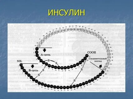 Микроэлемент входит в состав инсулина