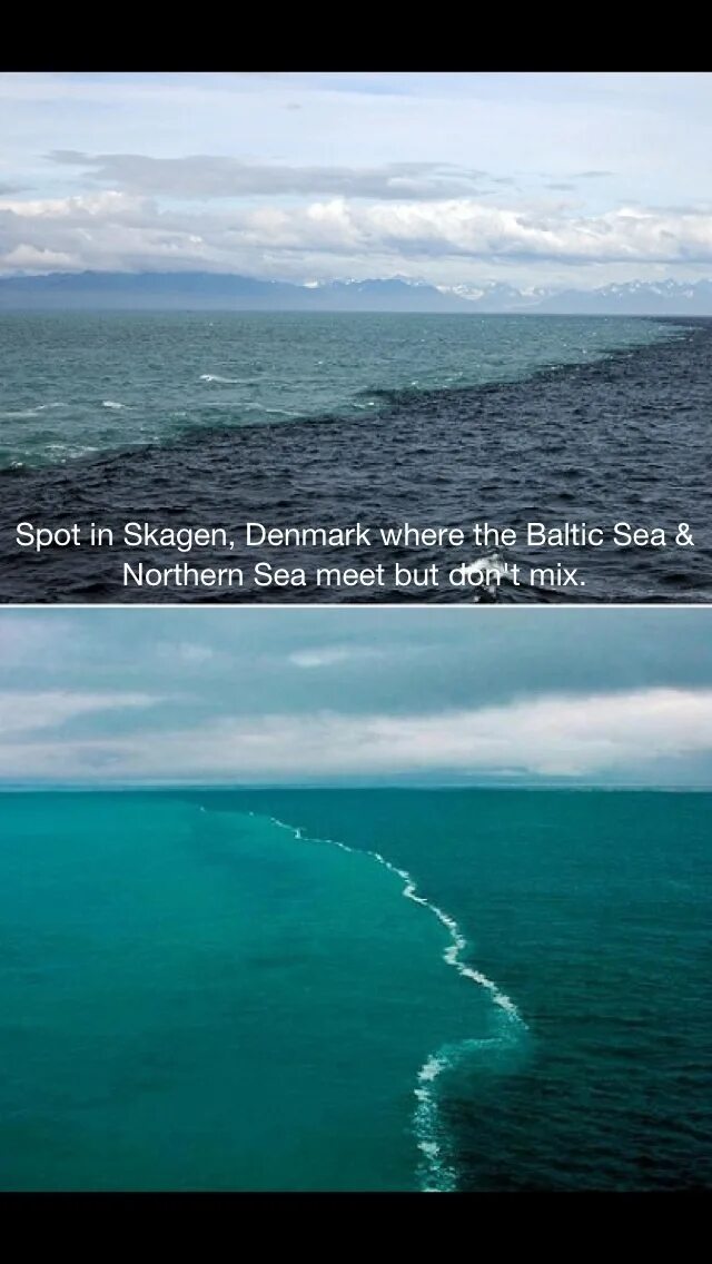 Океан пересекаемый нулевым. Галоклин Балтийское море. Граница Балтийского и Северного моря Скаген. Балтийское море Атлантический океан.