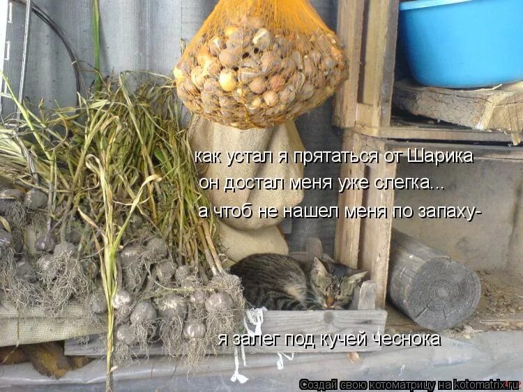 Зато он пришел