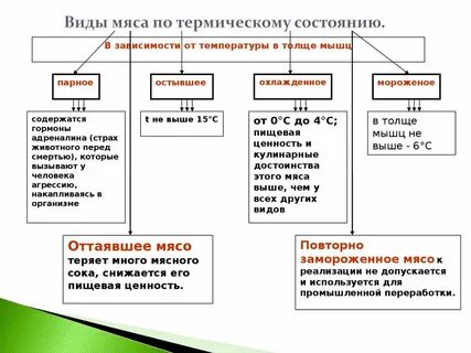 Возраст мяса