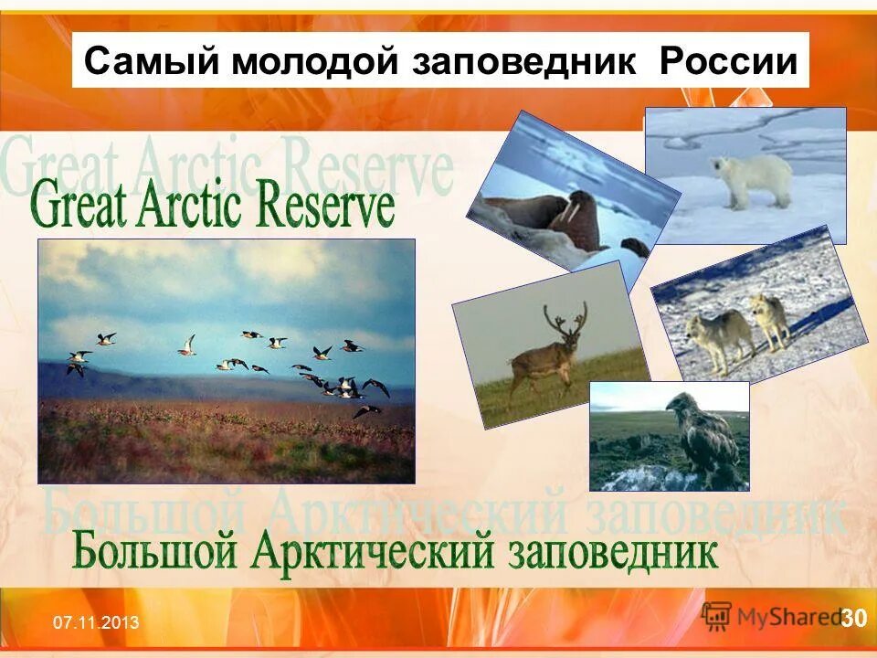 самый молодой заповедник. территория байкало ленского заповедника. кологривский реликтовый лес. заповедники костромы и костромской области. самый молодой заповедник.