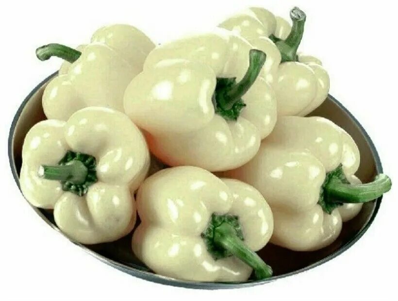 сорт перца диамант. перец сорт вундеркинд. белый болгарский перец. семена перец сладкий белый сорт. перец белый горошек.