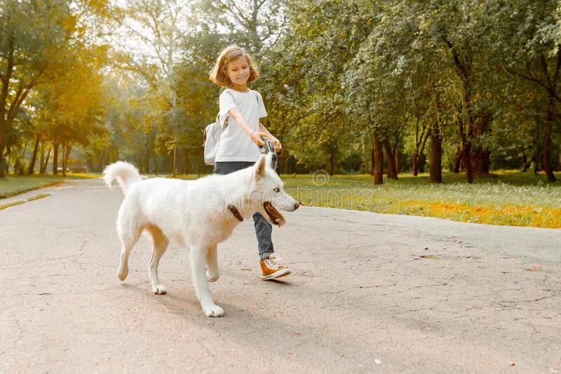 Девочка с собакой из лайка. Девочка гуляет с собакой. Девочка выгуливает собаку. Собака белая на прогулке. Ребенок гуляет с собакой.