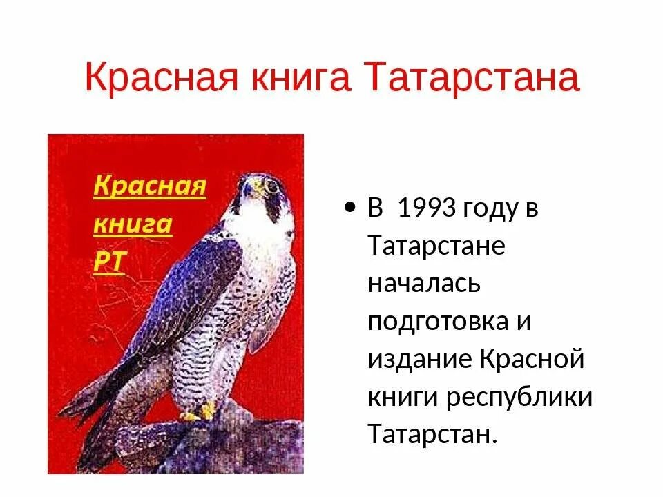 Обитатели красной книги татарстана. Красная книга республики татарстан книга. Животные красной книги татарстана. Виды красной книги татарстана. Растения и животные татарстана занесенные в красную книгу.
