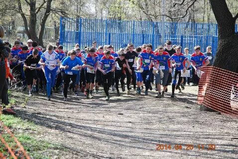 Спортивное ориентирование воронеж
