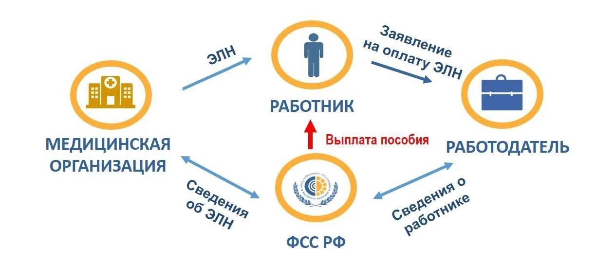 Фсс выплата больничного 2024