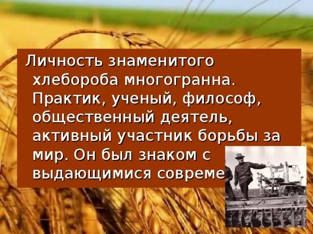 Текст на тему хлебороб 4 класс. Хлебороб мальцев. великий хлебороб мальцев. сочинение в гостях у хлебороба. хлеборобы в годы великой.