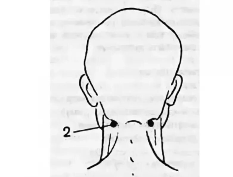Затылок зрение. Болевые точки в основании черепа. Точка у основания черепа. Массировать точки у основания черепа. Точка на затылке у основания черепа.