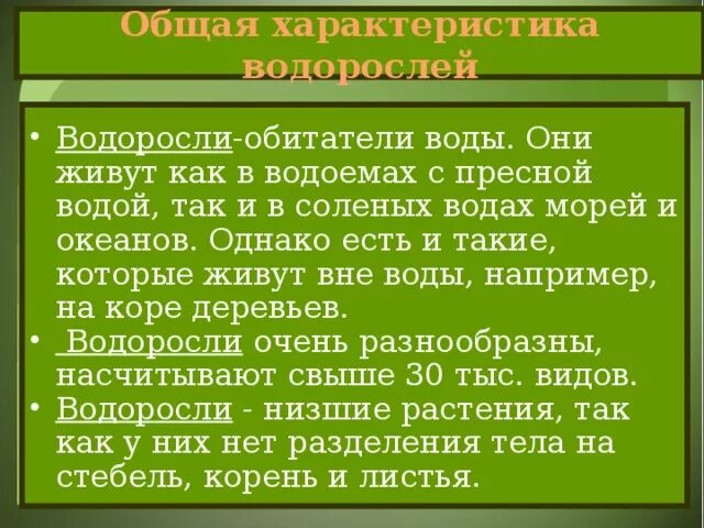 Характеристика классов водорослей