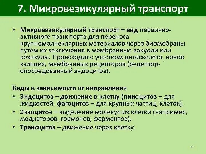 Микровезикулярный полип толстой кишки. Микровезикулярный транспорт. Микро везикулярный транспорт какой вид транспорта. Микровезикулярный Тип. Полип микровезикулярного типа.