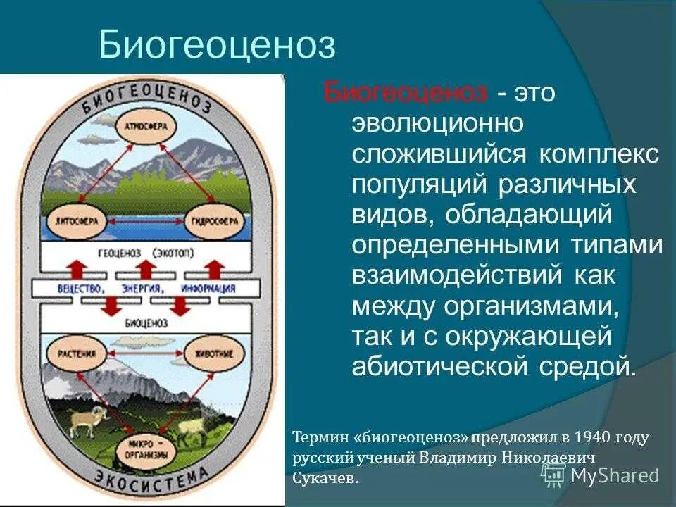 Биогеоценоз. Экосистема и биогеоценоз. Биогеоценозам. Понятие экосистемы.