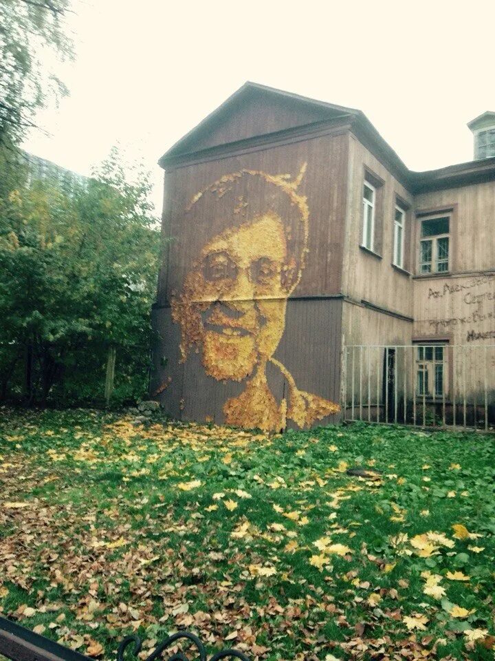 Дом шевчука. Жунев шевчук. пермь шевчук листья. дом шевчука в уфе. портрет шевчука из листьев пермь.
