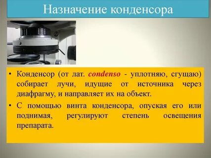 Конденсор это