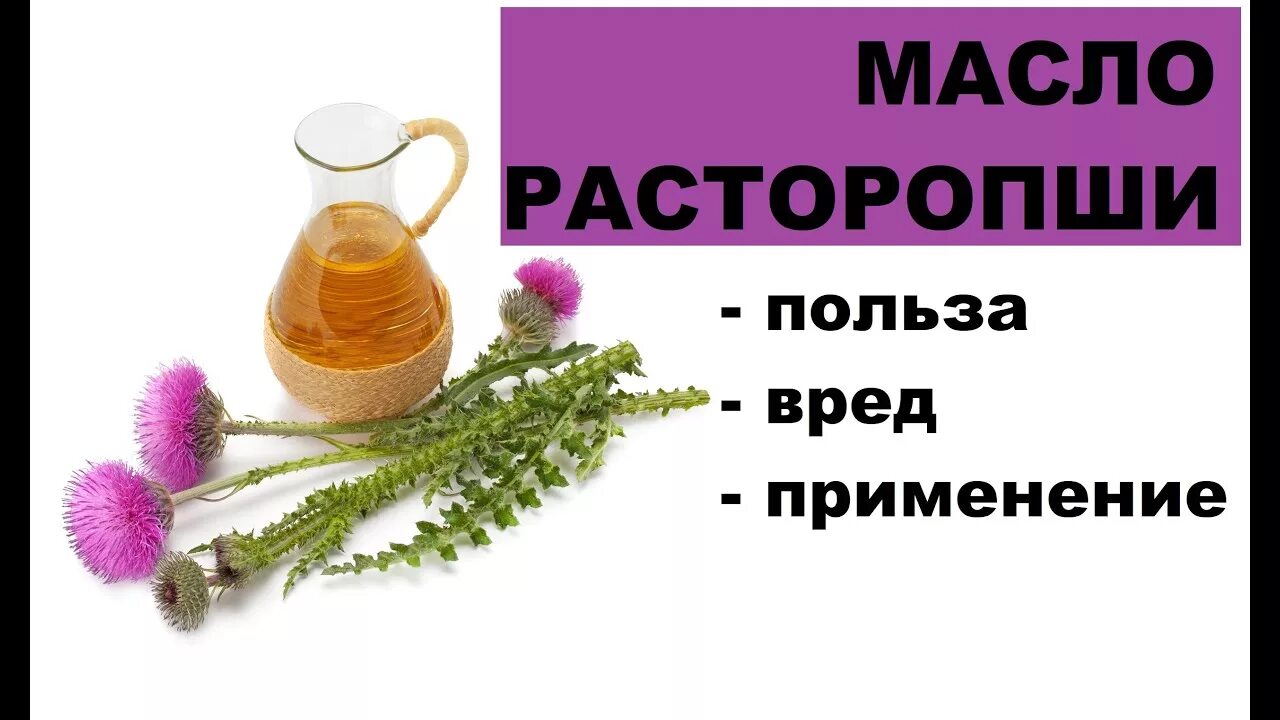 Масло расторопши польза как принимать. Масло расторопши польза. Польза и вред расторопши. Масло расторопши польза и вред. Масло расторопши полезные свойства и применение.