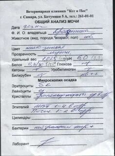 Лист беременной