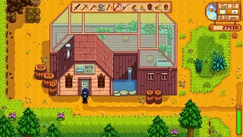Собирательство stardew