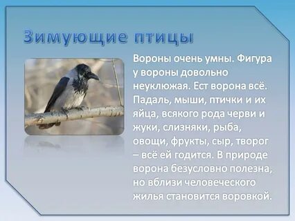 Ворона сочинение 3 класс