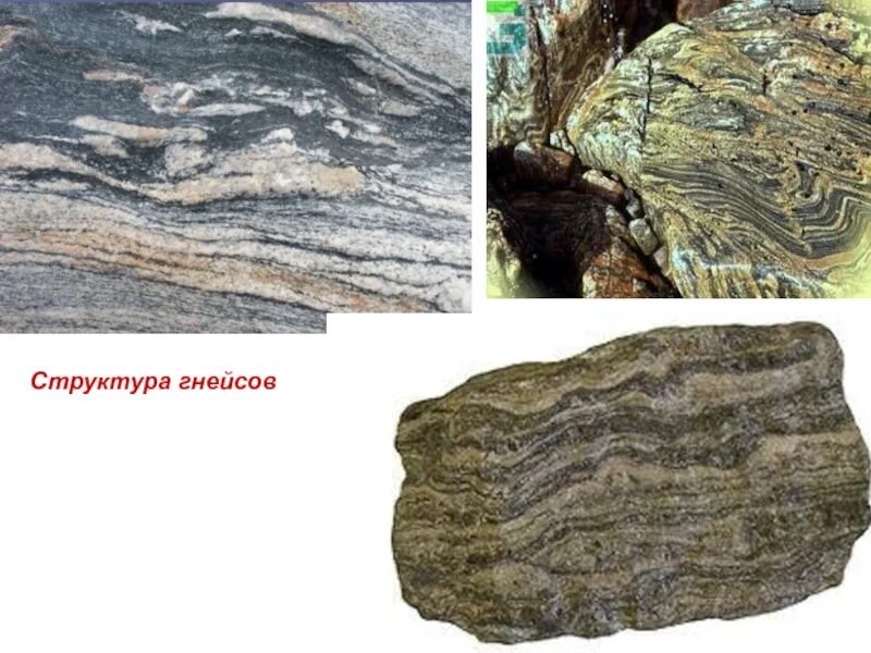Биотитовый гнейс. Региональный метаморфизм минералогический состав. Гнейс структура. Гнейс структура. Кварц биотитовый сланец.