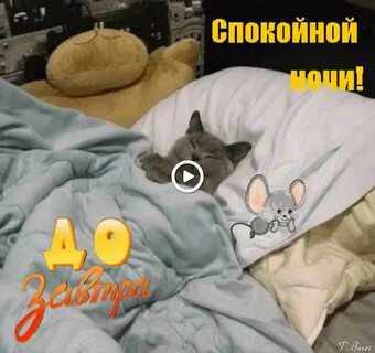 Ложись укрывайся