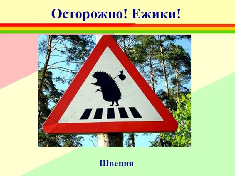 Интересные дорожные знаки. Несуществующие дорожные знаки. Дорожный знак осторожно животные. Необычные дорожные знаки. Дорожные ежики